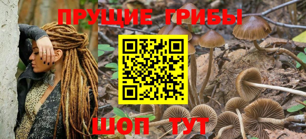 Псилоцибиновые грибы ЛСД  Галлюциногенные грибы Magic Shrooms  Тара  Вход с VPN 